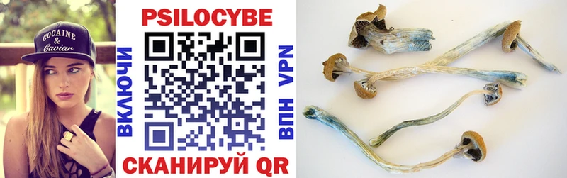 Галлюциногенные грибы Cubensis  Полярный 